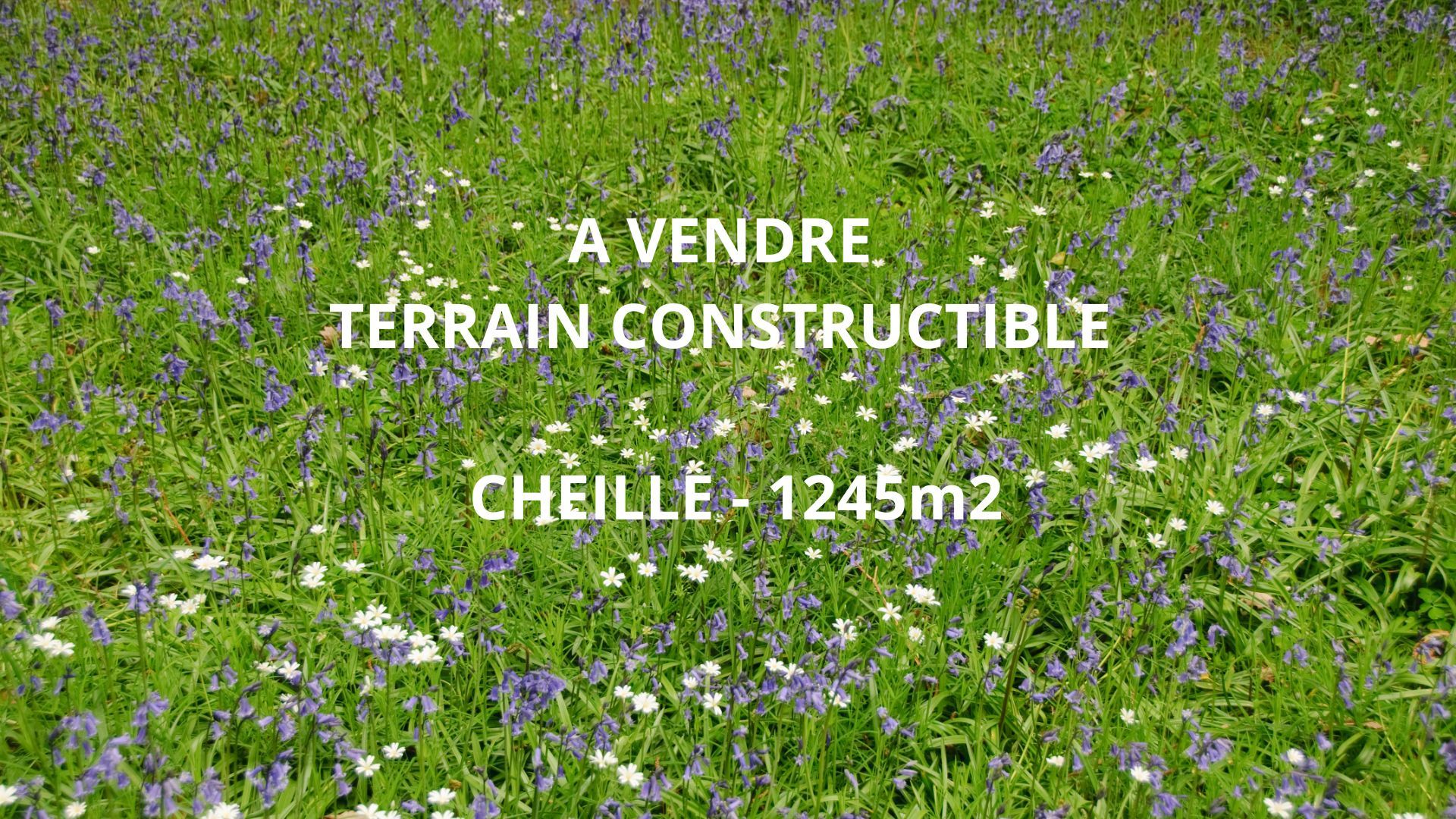 terrain en vente sur Cheillé (37190)