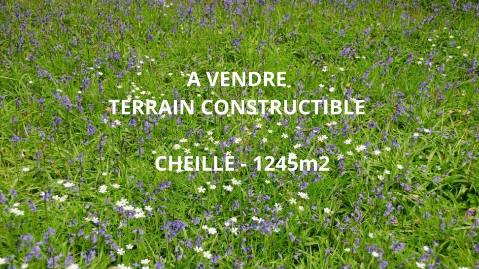 terrain en vente sur Cheillé (37190)