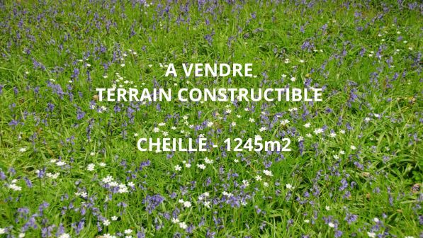 Vente Terrain Cheillé 1245&nbsp;m²