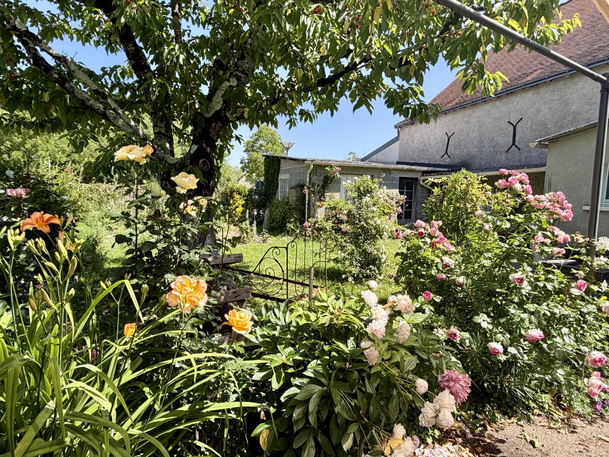 maison 3 Pièces en vente sur Cheillé (37190)