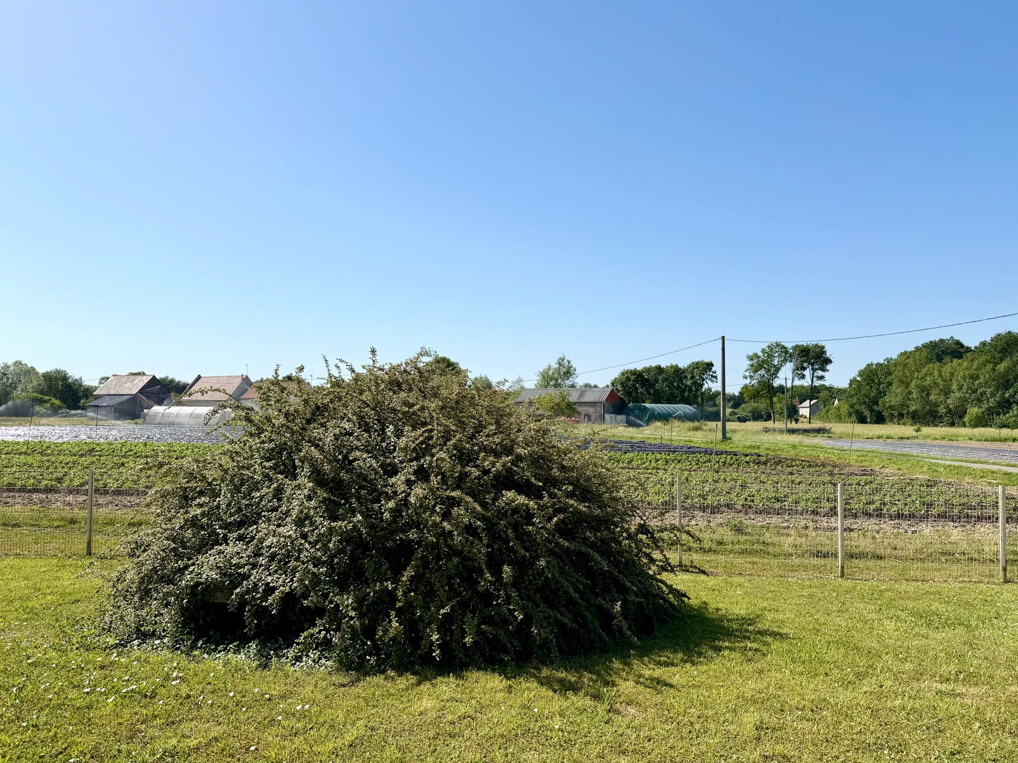 maison 4 Pièces en vente sur Saint-Genouph (37510)