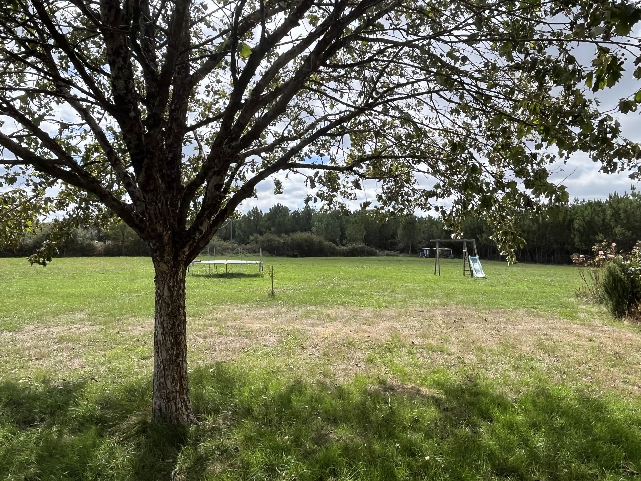 maison 4 Pièces en vente sur Cléré-les-Pins (37340)