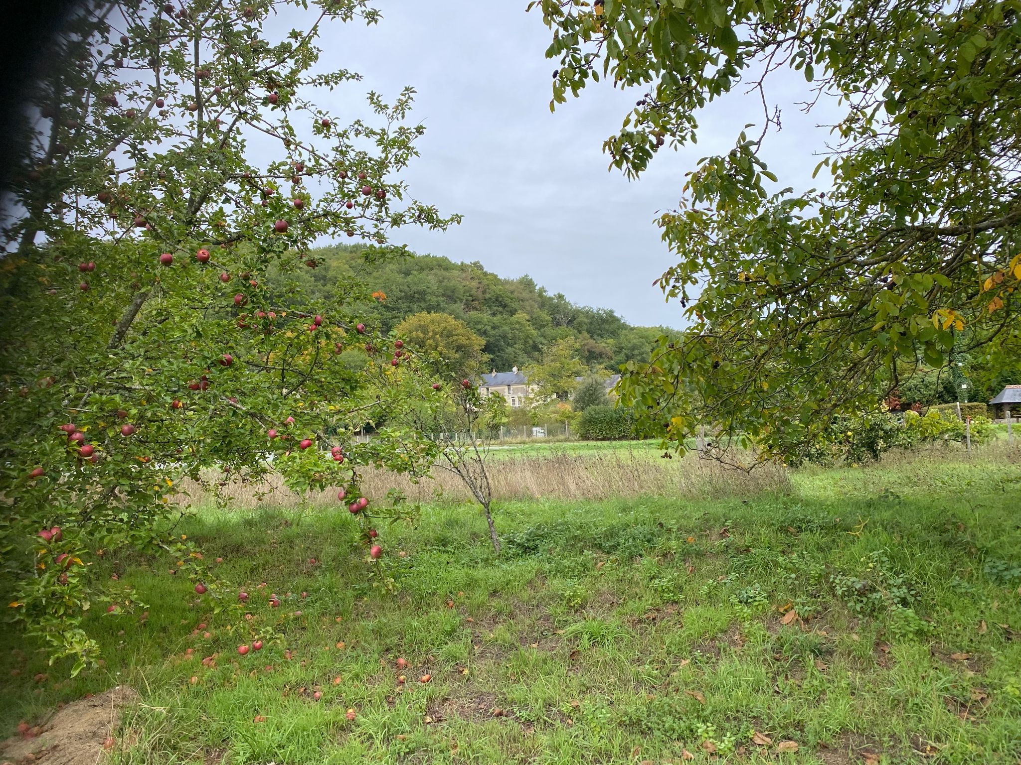 maison 4 Pièces en vente sur Panzoult (37220)