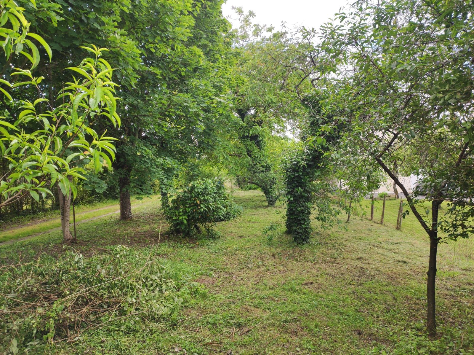 terrain en vente sur Sorigny (37250)