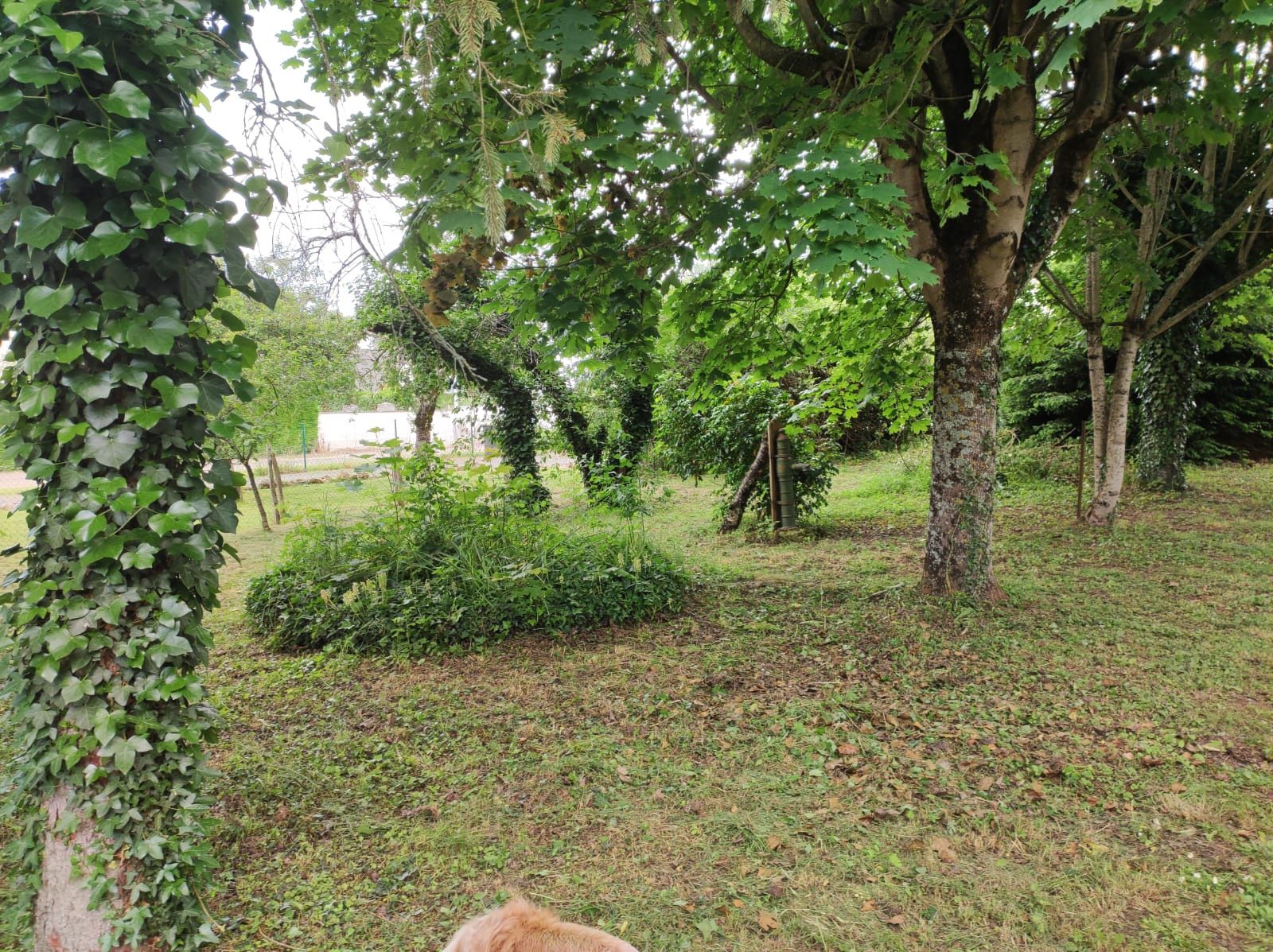 terrain en vente sur Sorigny (37250)
