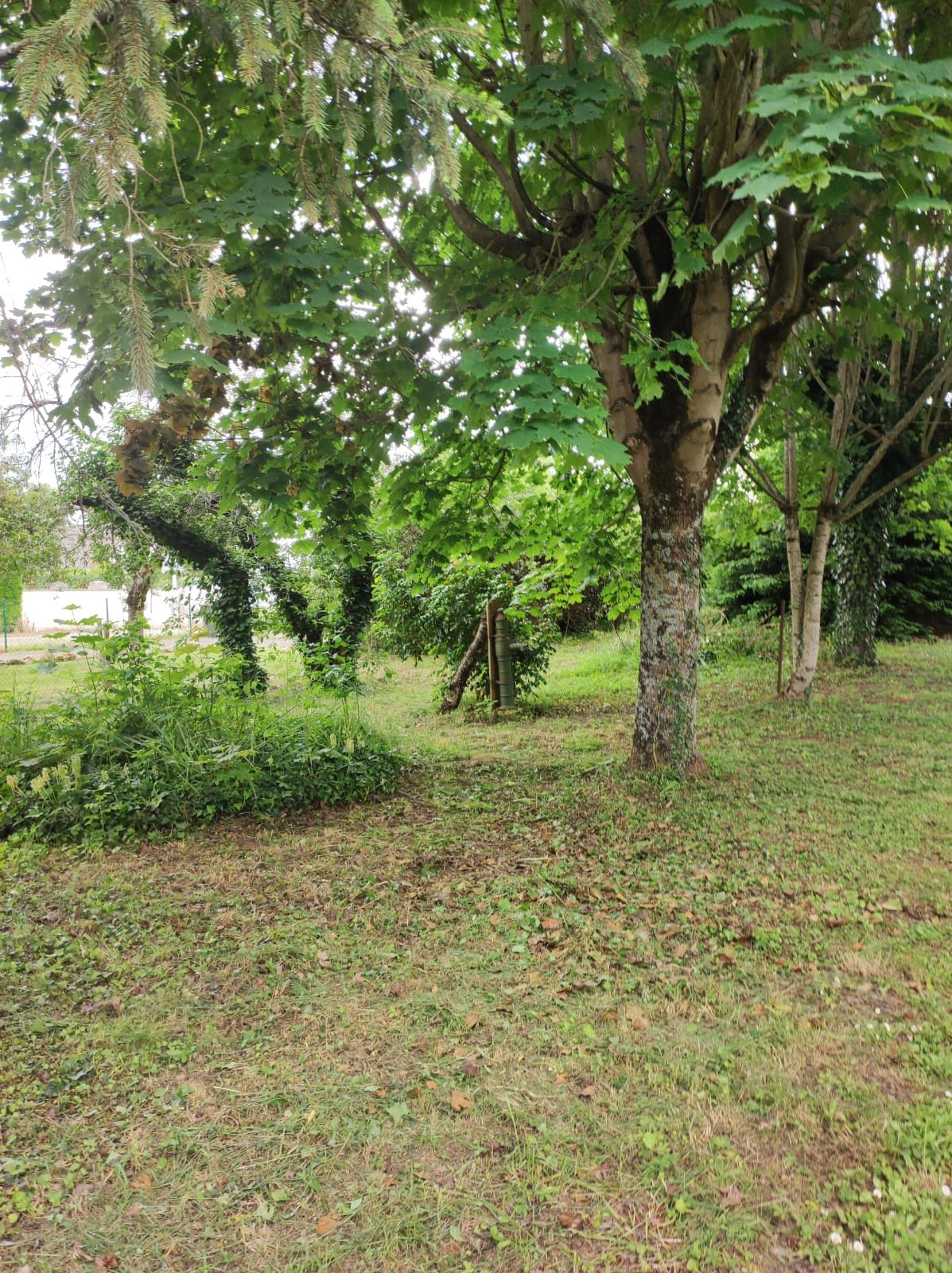 terrain en vente sur Sorigny (37250)