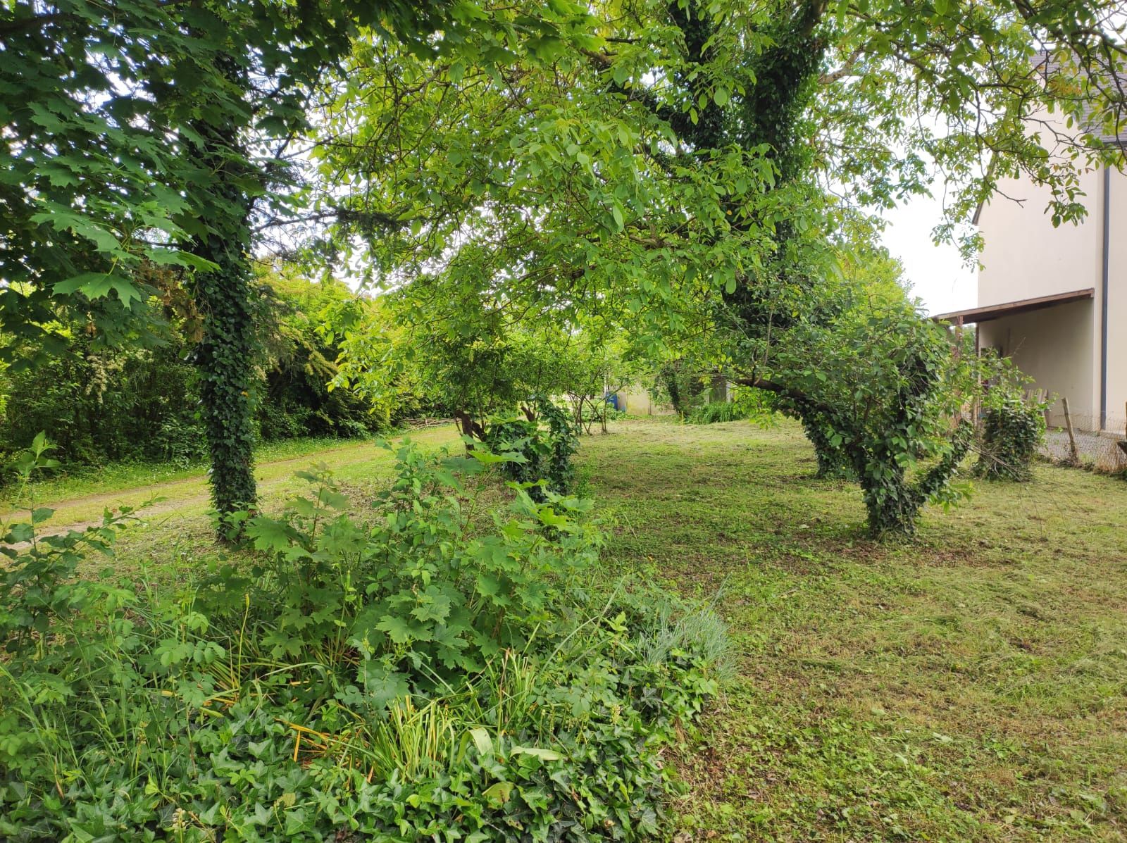 terrain en vente sur Sorigny (37250)