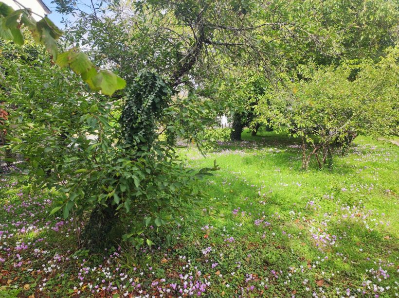 terrain en vente sur Sorigny (37250)