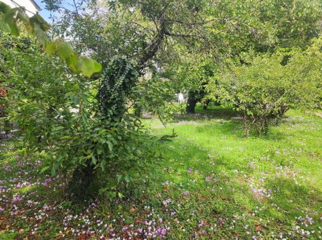Vente Terrain Sorigny 461&nbsp;m²